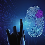 Biometrics and Privacy: What's Stored Where