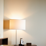 Travel Mode: Hotel Room Privacy Checks