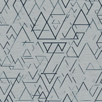 Duplicates and Reposts: Alert Noise Explained